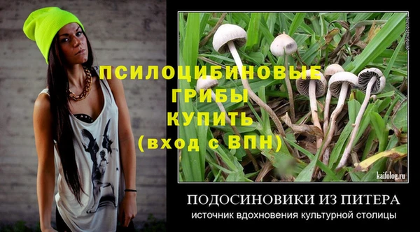 COCAINE Богородск
