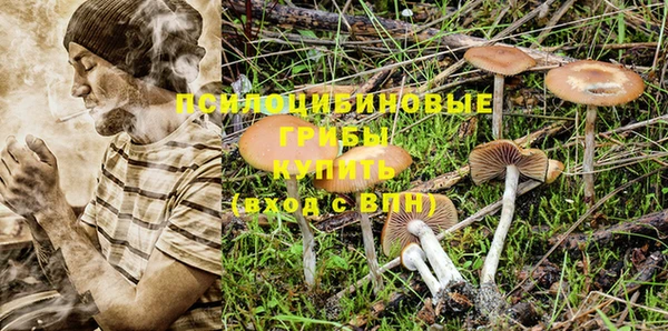 ALPHA PVP Богданович