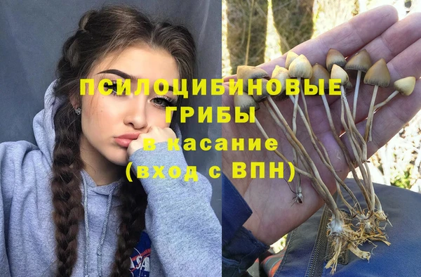 COCAINE Богородск