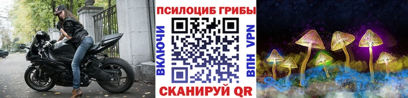 Псилоцибиновые грибы GOLDEN TEACHER Касли