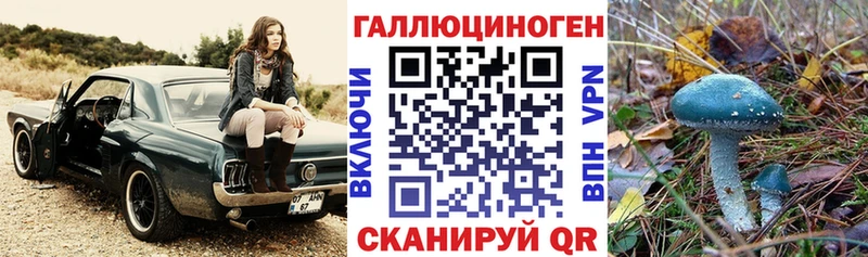 что такое   Касли  Псилоцибиновые грибы мухоморы 